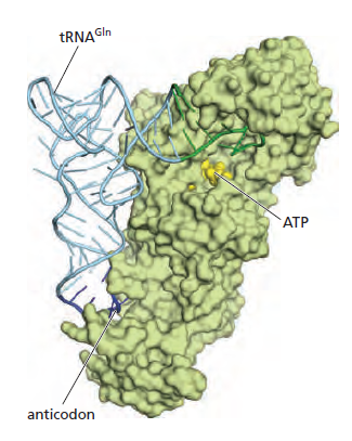 Figure 6-58.png